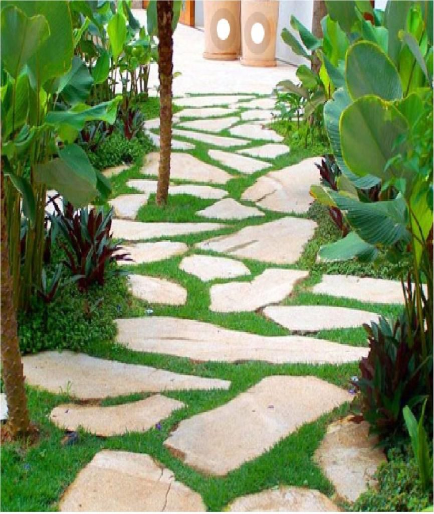 Leia mais sobre o artigo Jardins